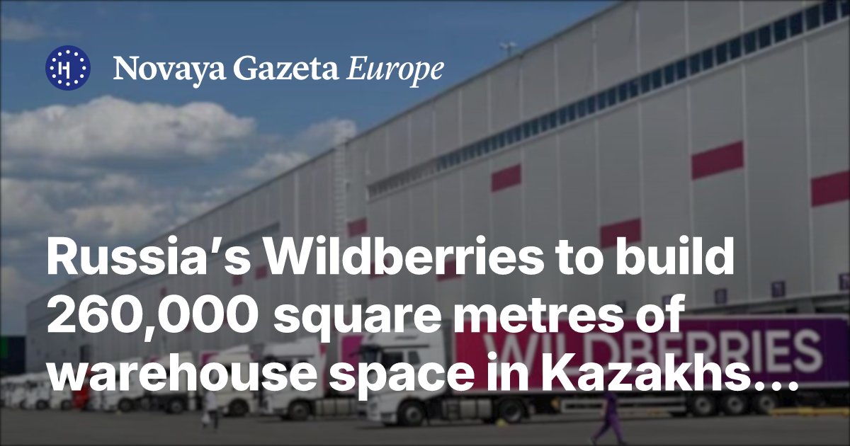Russia’s Wildberries to build 260,000 square metres of warehouse space in ...